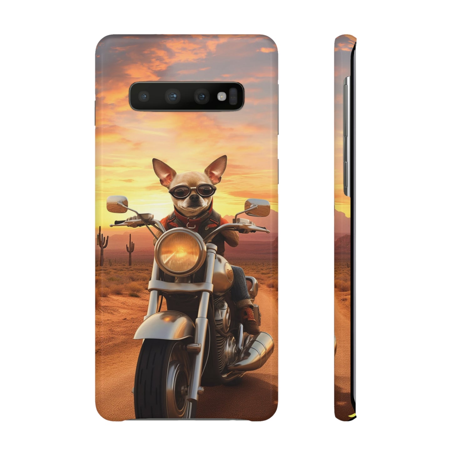 Sunset Ride: Chihuahua on a Harley Davidson in the Desert