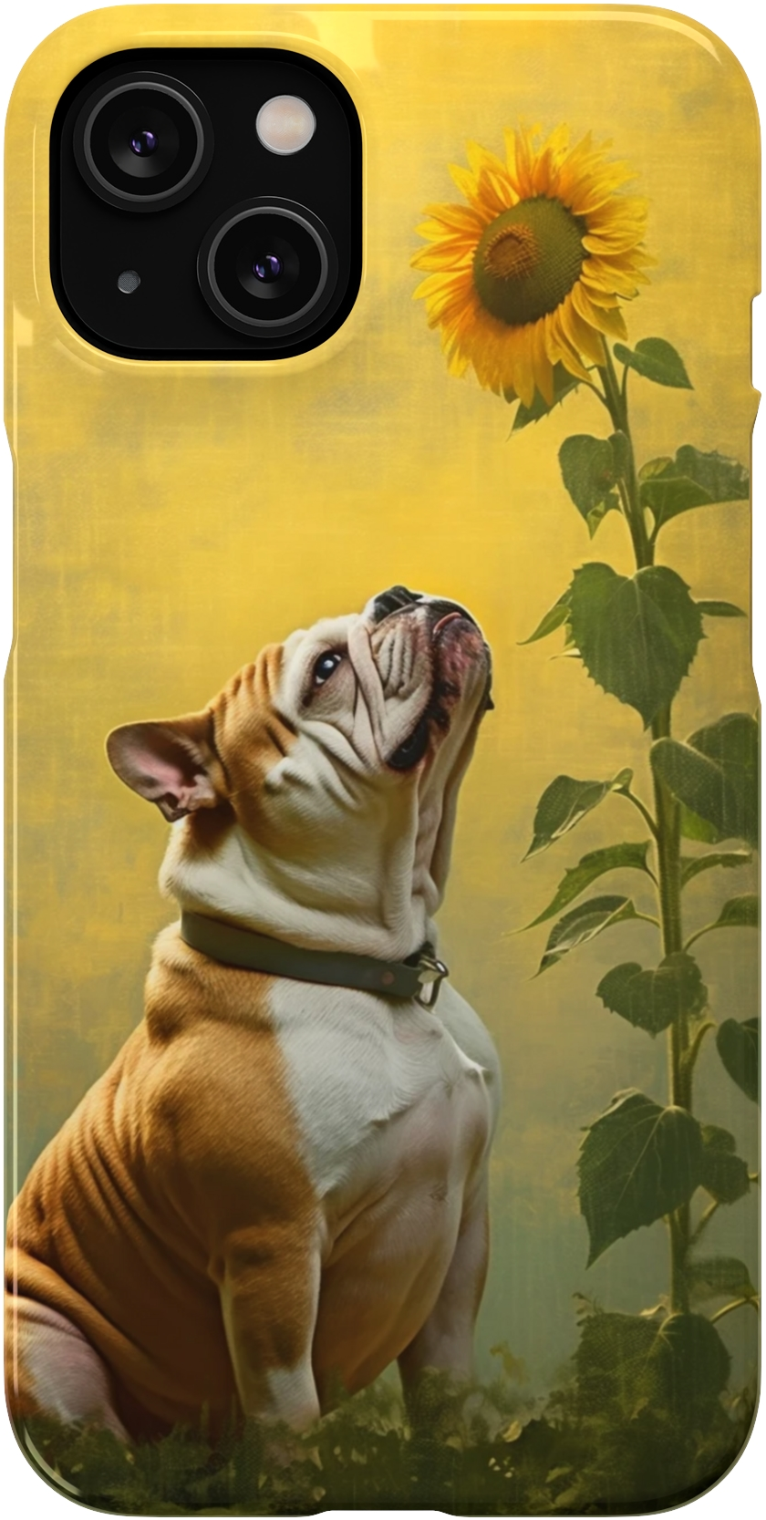 Bulldog and Sunflower Symphony