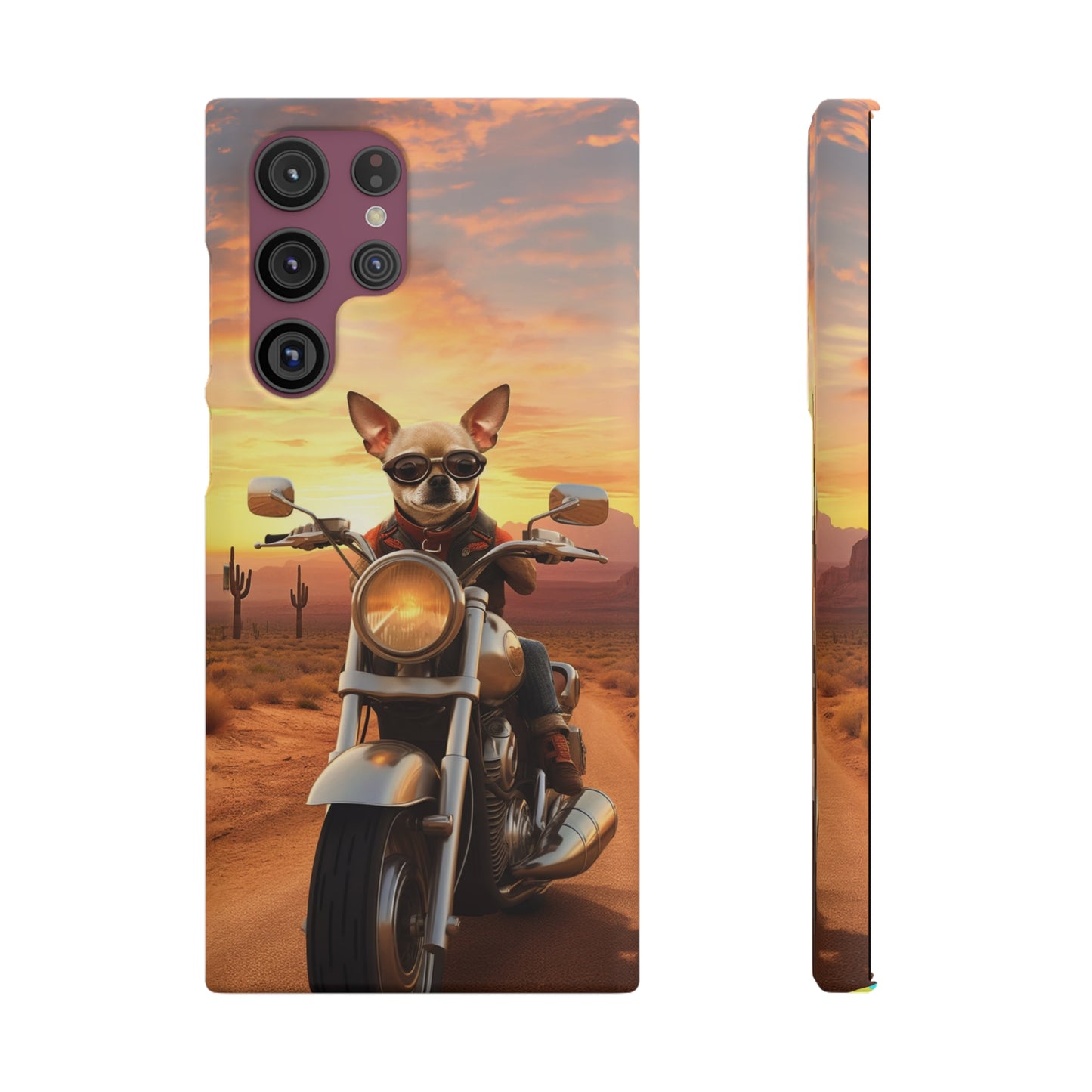 Sunset Ride: Chihuahua on a Harley Davidson in the Desert