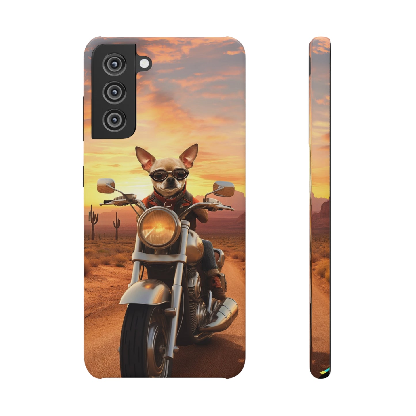 Sunset Ride: Chihuahua on a Harley Davidson in the Desert