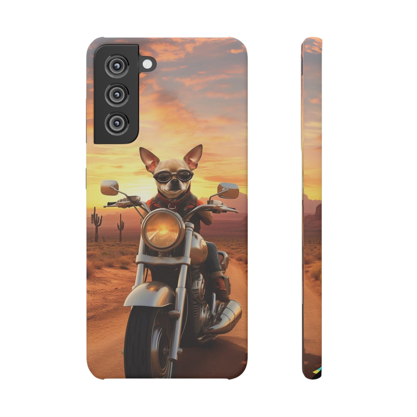 Sunset Ride: Chihuahua on a Harley Davidson in the Desert