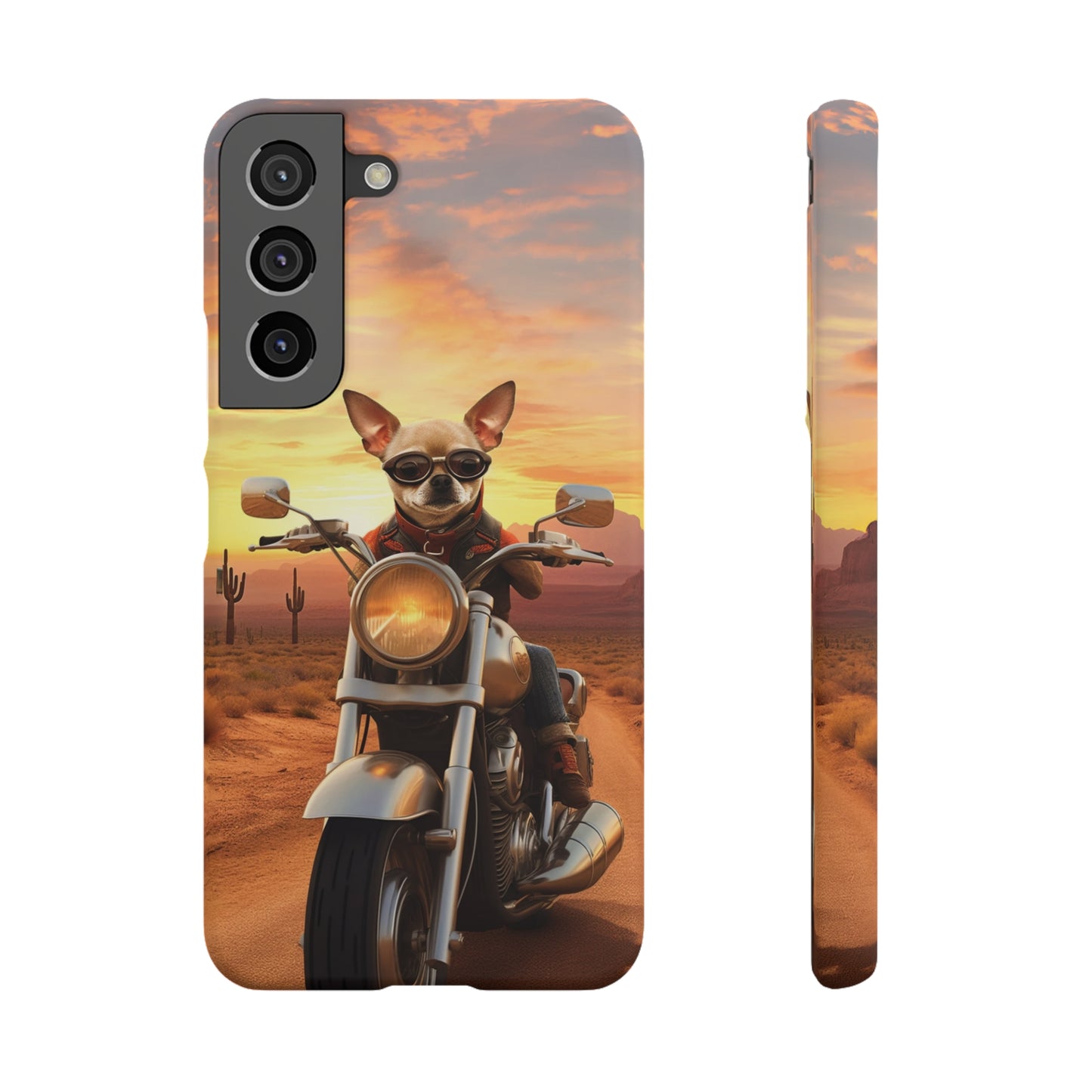 Sunset Ride: Chihuahua on a Harley Davidson in the Desert