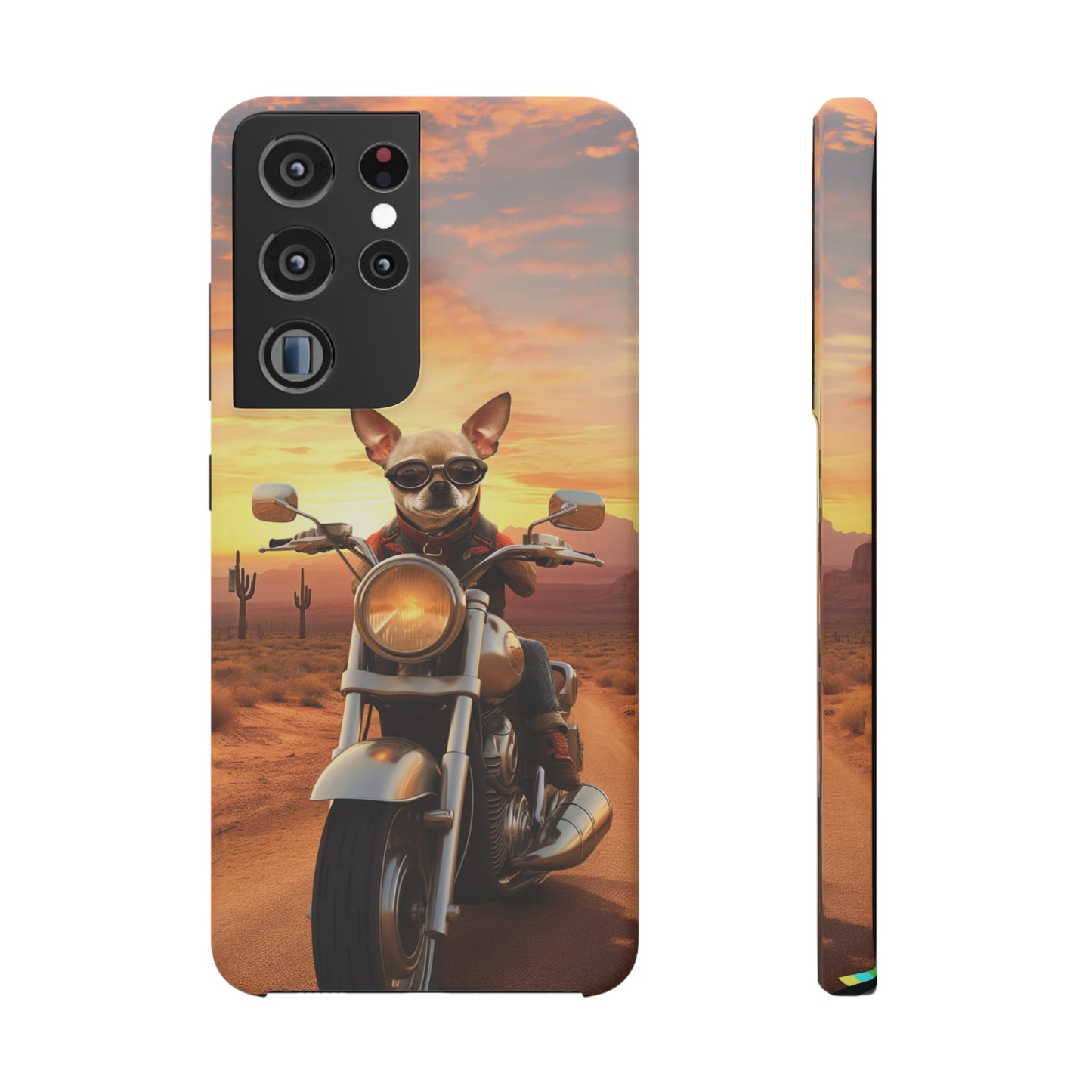 Sunset Ride: Chihuahua on a Harley Davidson in the Desert