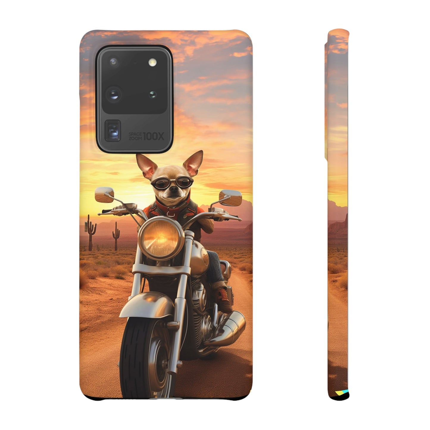 Sunset Ride: Chihuahua on a Harley Davidson in the Desert