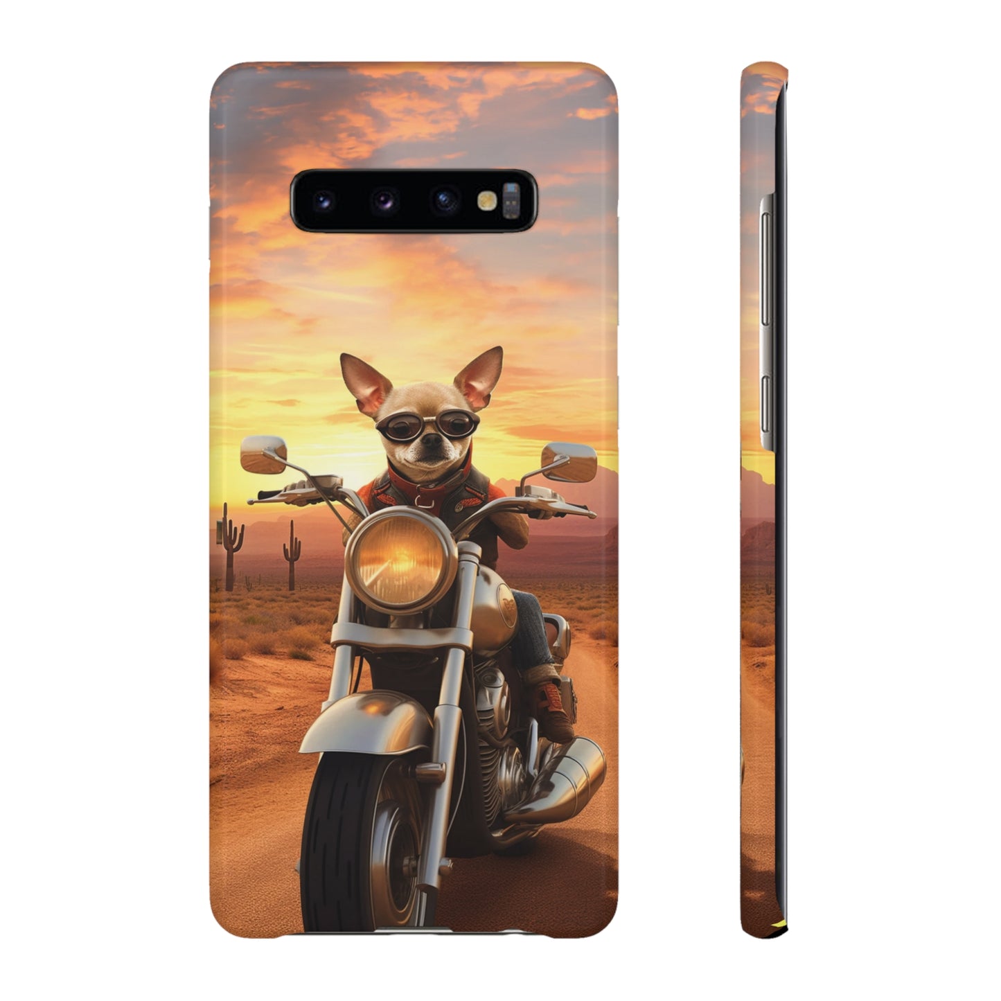 Sunset Ride: Chihuahua on a Harley Davidson in the Desert
