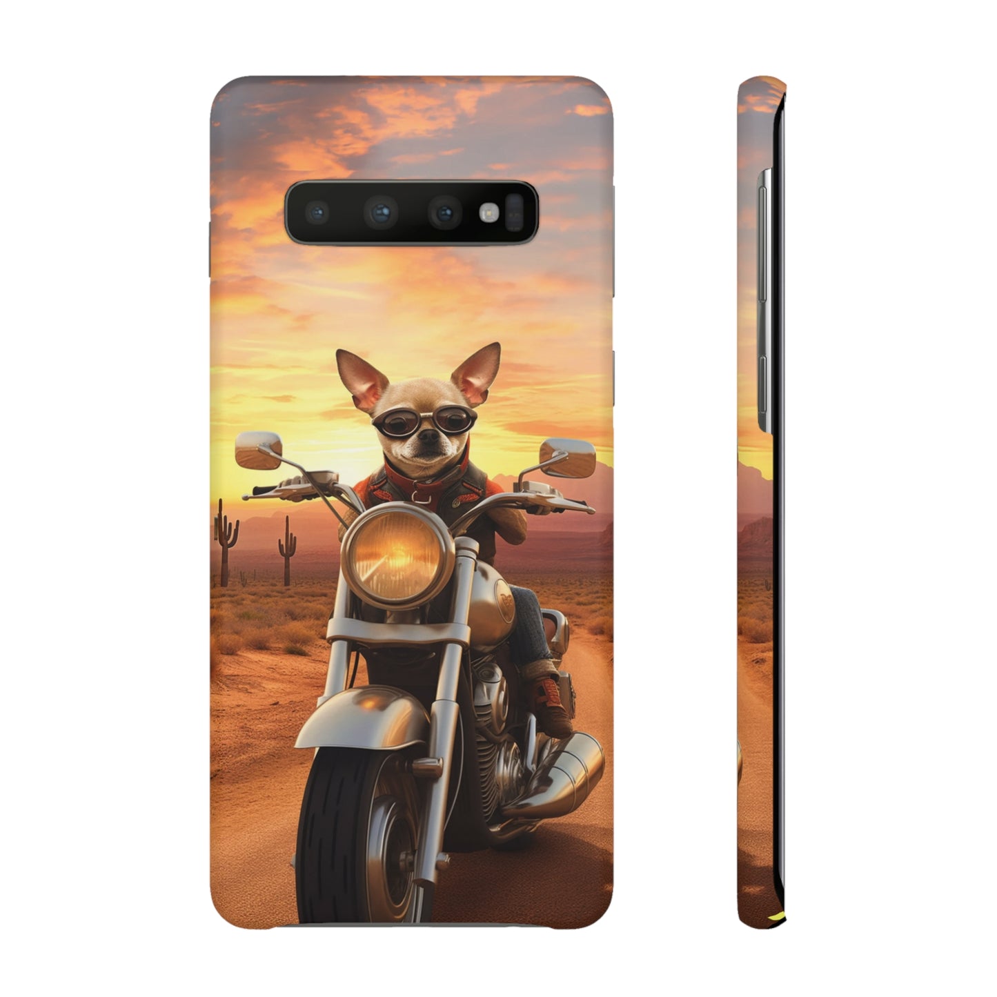Sunset Ride: Chihuahua on a Harley Davidson in the Desert