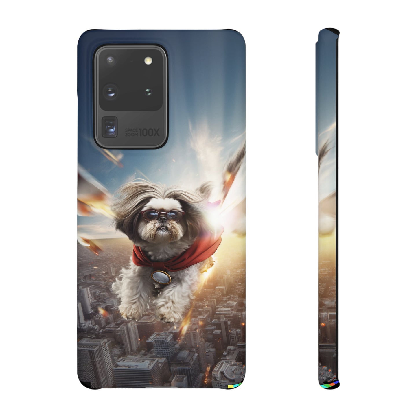 Superhero Shih Tzu In Action