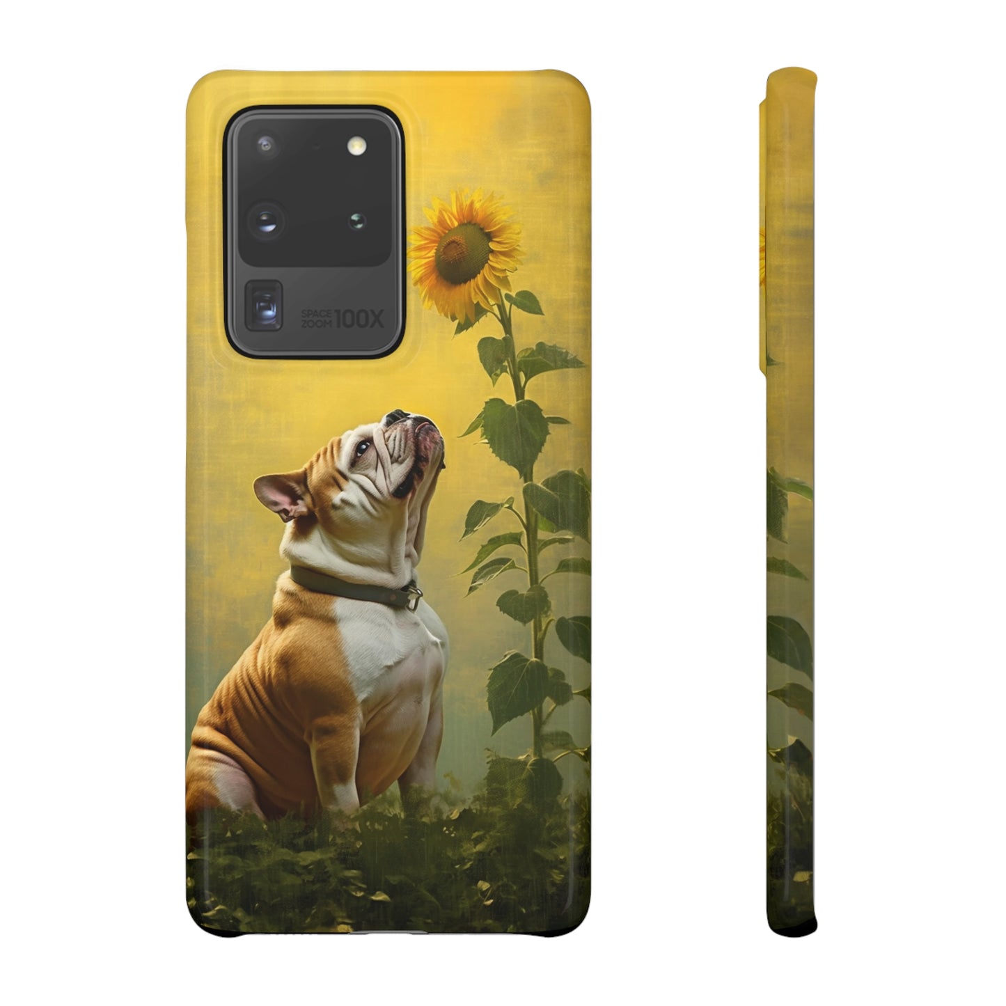 Bulldog and Sunflower Symphony