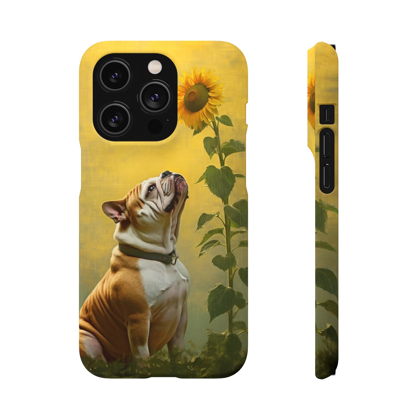 Bulldog and Sunflower Symphony