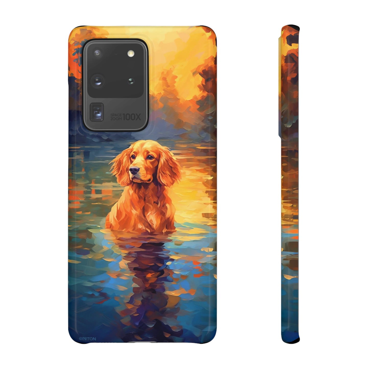 English Cocker Spaniel Splashing Serenade