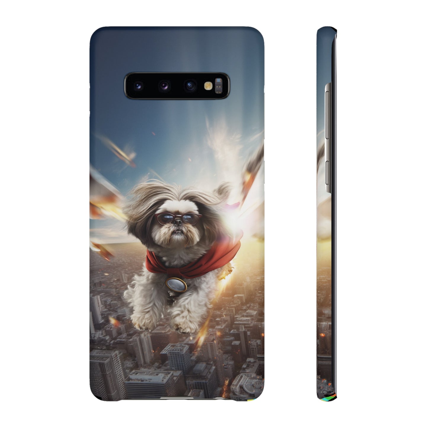 Superhero Shih Tzu In Action