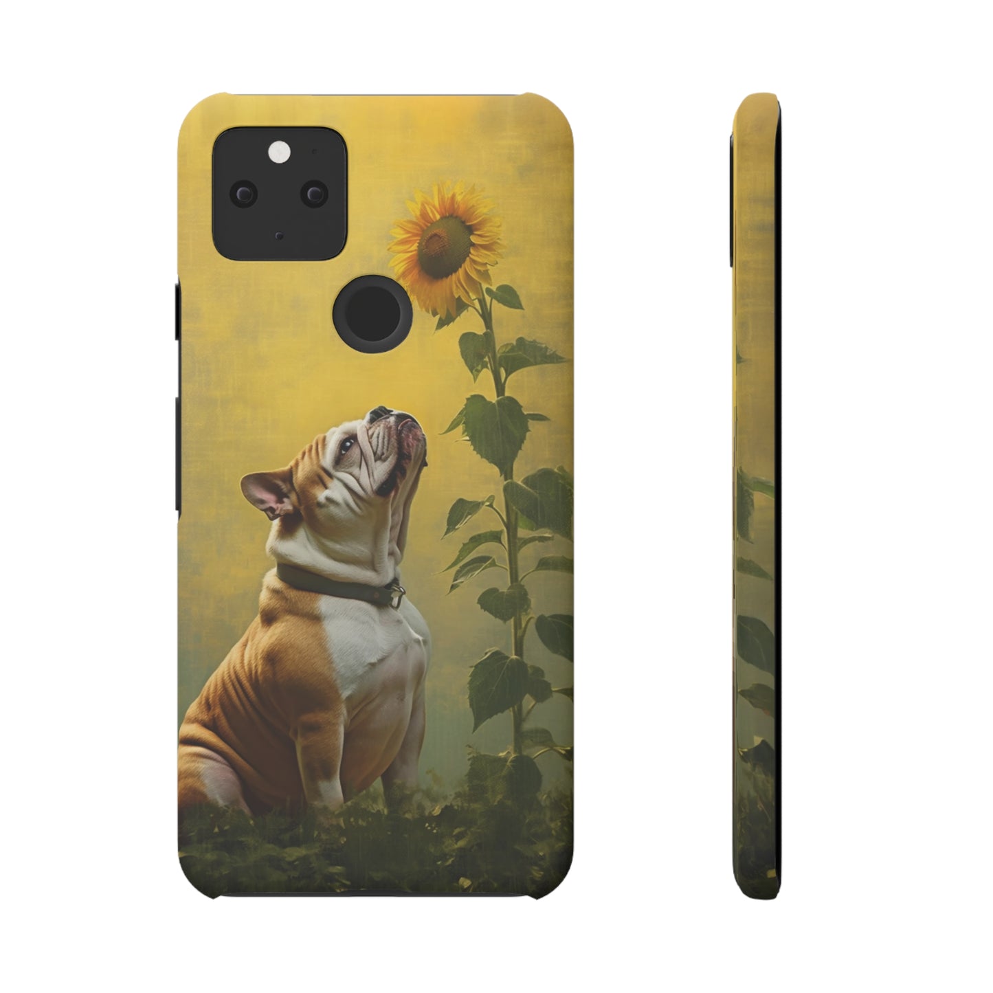 Bulldog and Sunflower Symphony