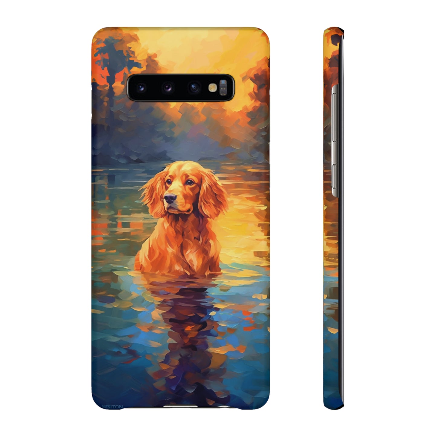 English Cocker Spaniel Splashing Serenade