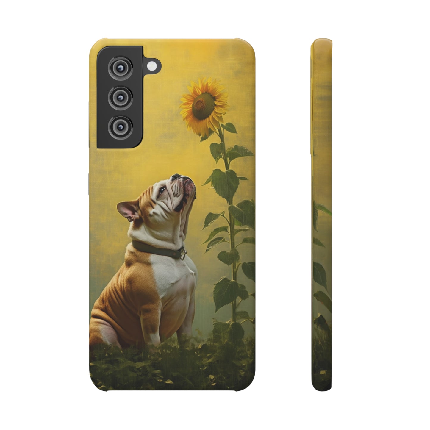 Bulldog and Sunflower Symphony