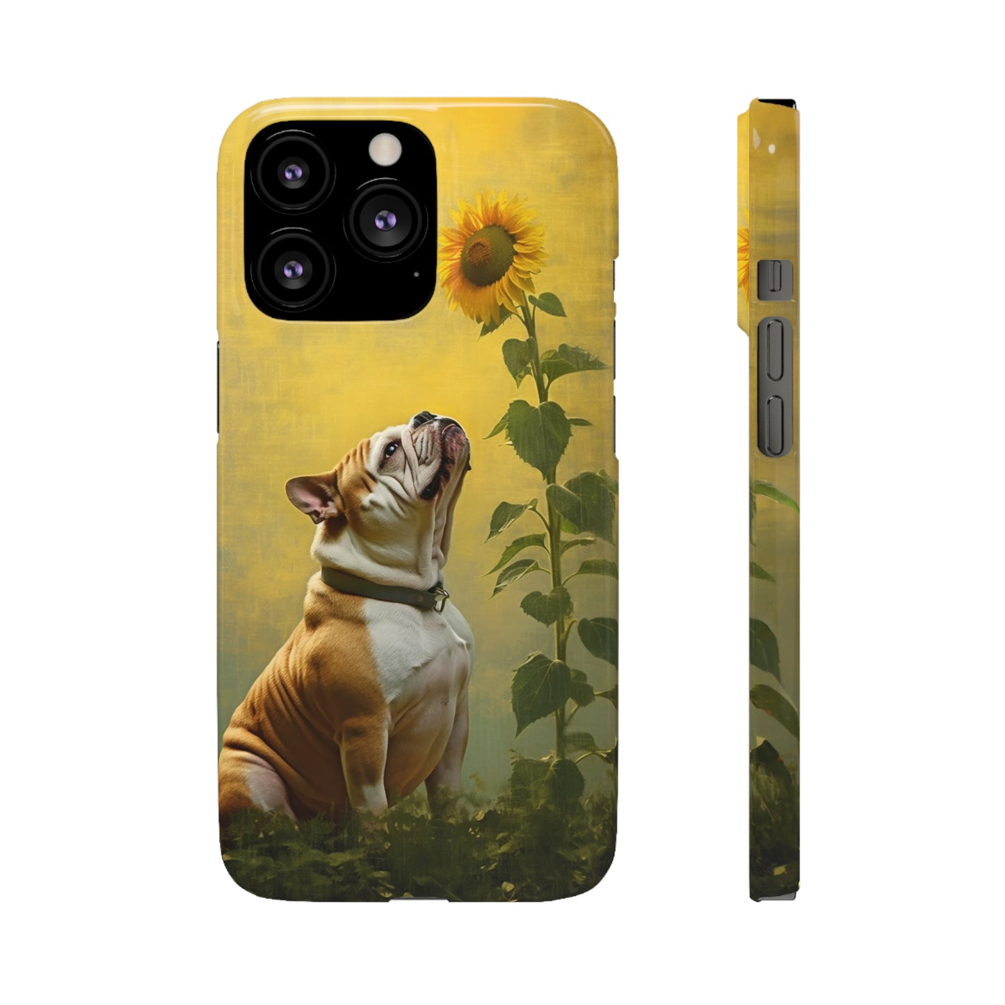 Bulldog and Sunflower Symphony